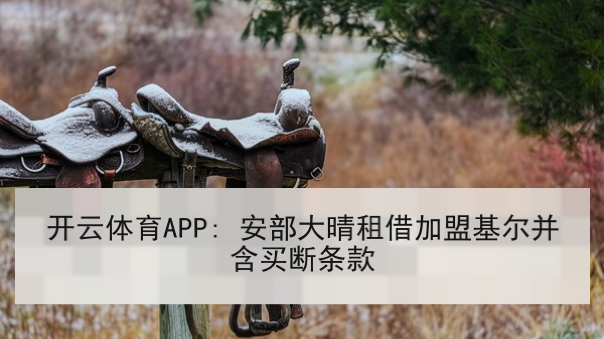 开云体育APP: 安部大晴租借加盟基尔并含买断条款