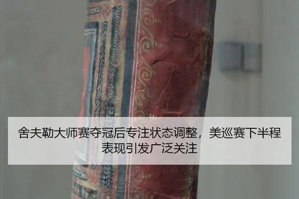 she-fu-lei-da-shi-sai-duo-guan-hou-zhuan-zhu-zhuang-tai-tiao-zheng-mei-xun-sai-xia-ban-cheng-biao-xian-yin-fa-guang-fan-3-445.jpg